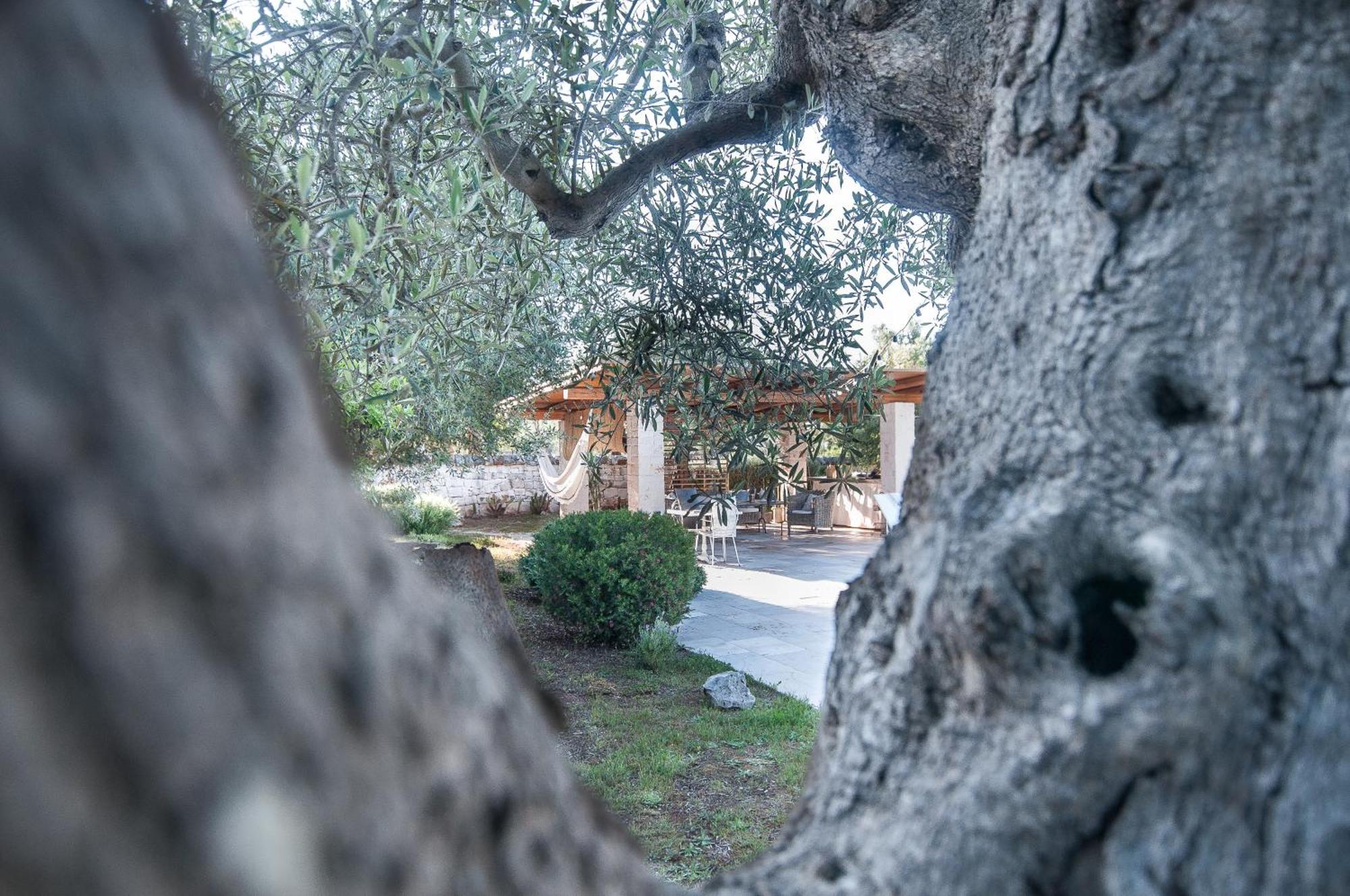 Il Trullo Di Ben Villa Locorotondo Eksteriør billede